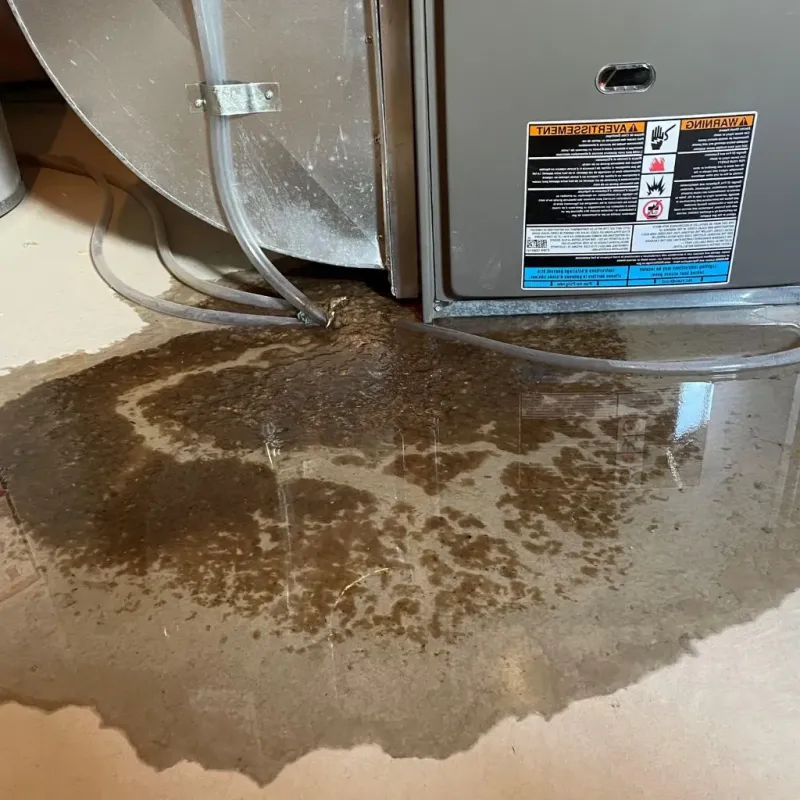 Pipe Burst and Leak Restoration in Frontier County, NE