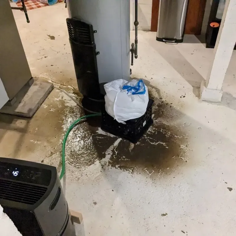 Sewage Backup Cleanup Service in Frontier County, NE